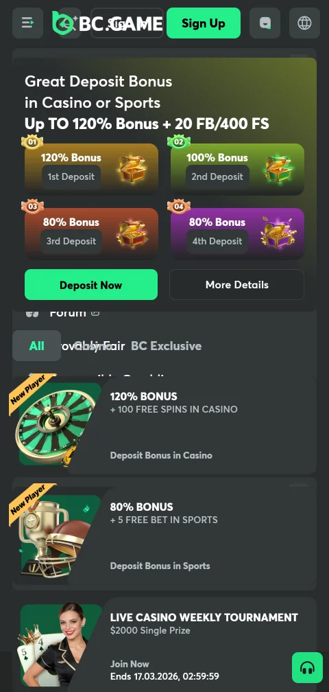 BC Game Casino deposits, withdrawals and payment method overview
