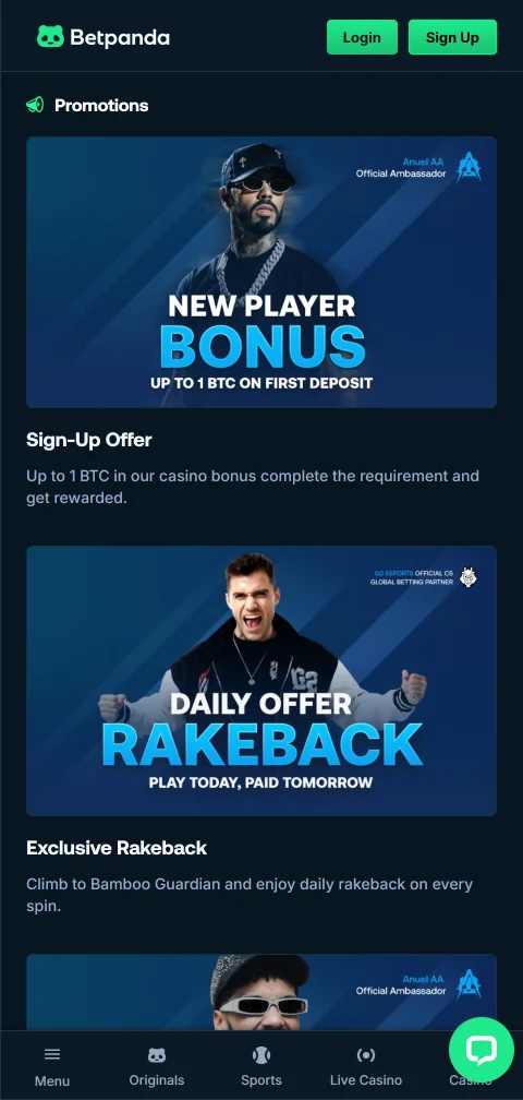 BetPanda Casino payment details for deposits, withdrawals, and INR-friendly checking