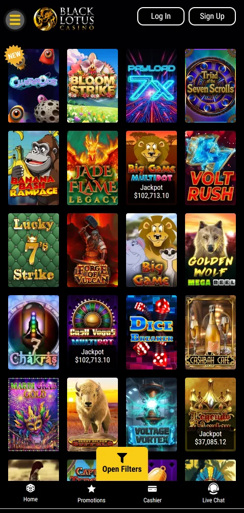 Black Lotus Casino deposits, withdrawals and payment options for readers