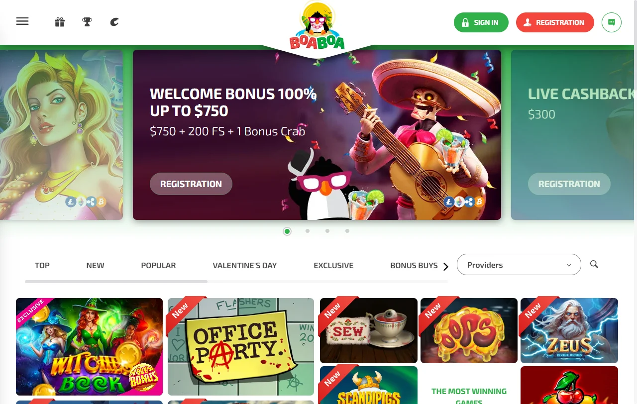 BoaBoa Casino editorial review for India players and practical risk assessment