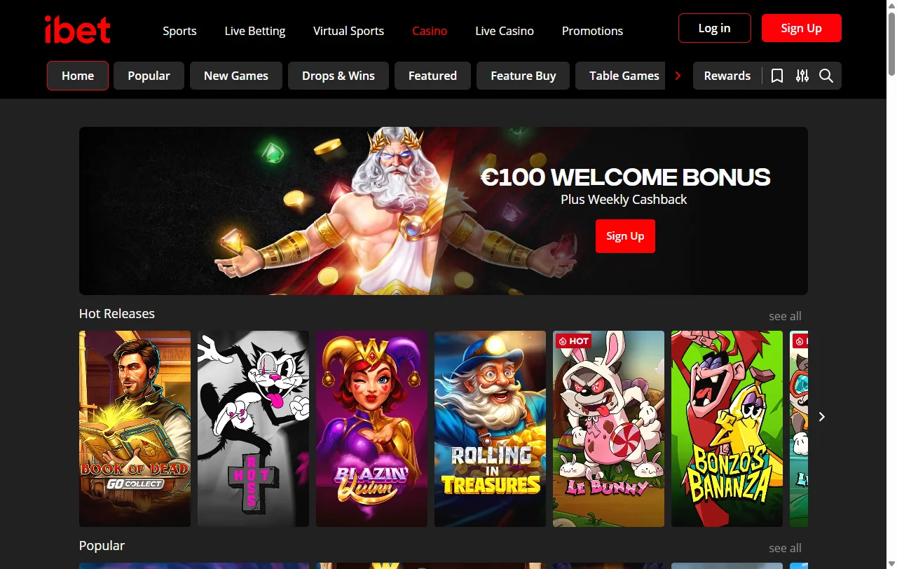 ibet Casino slots and live games overview for readers
