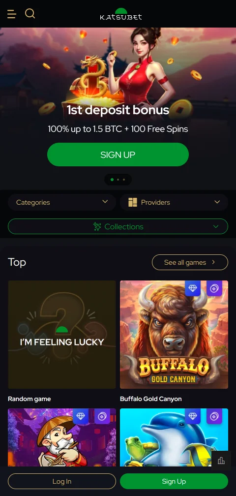 KatsuBet Casino mobile access and smartphone compatibility summary