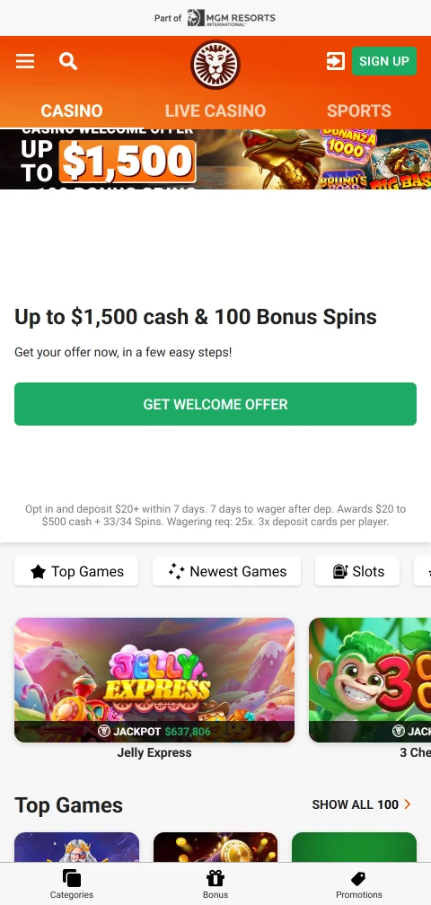 LeoVegas Casino mobile play experience and accessibility on phones