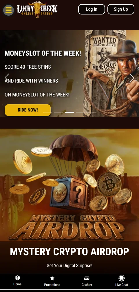 Lucky Creek Casino security, licence and player protection summary