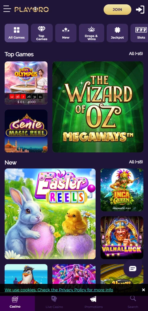 Playoro Casino security, licensing, and player protection focus