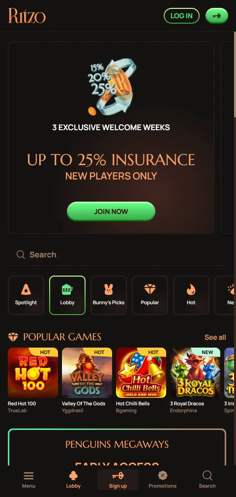 Ritzo Casino mobile access and browser experience review