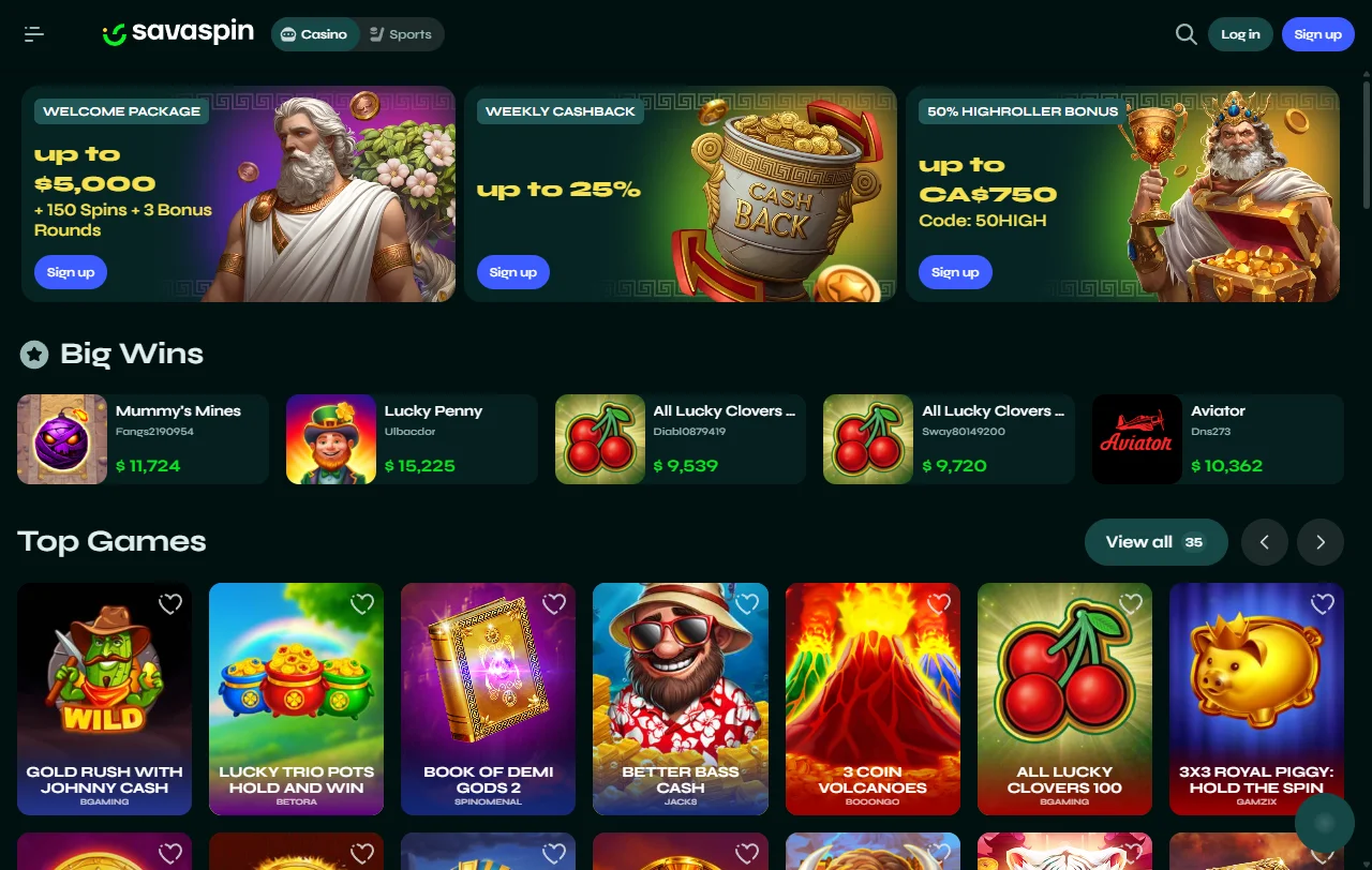 Savaspin Casino review for India players