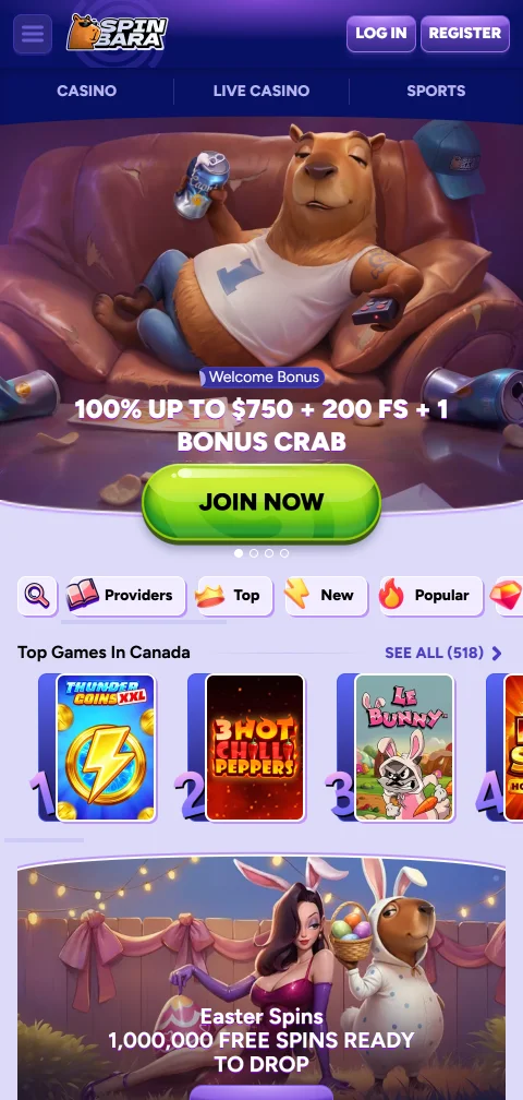 SpinBara Casino mobile access and responsive play for India
