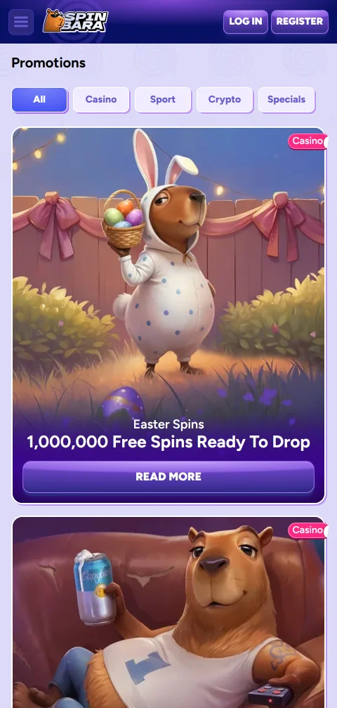 SpinBara Casino deposits withdrawals and banking overview for users
