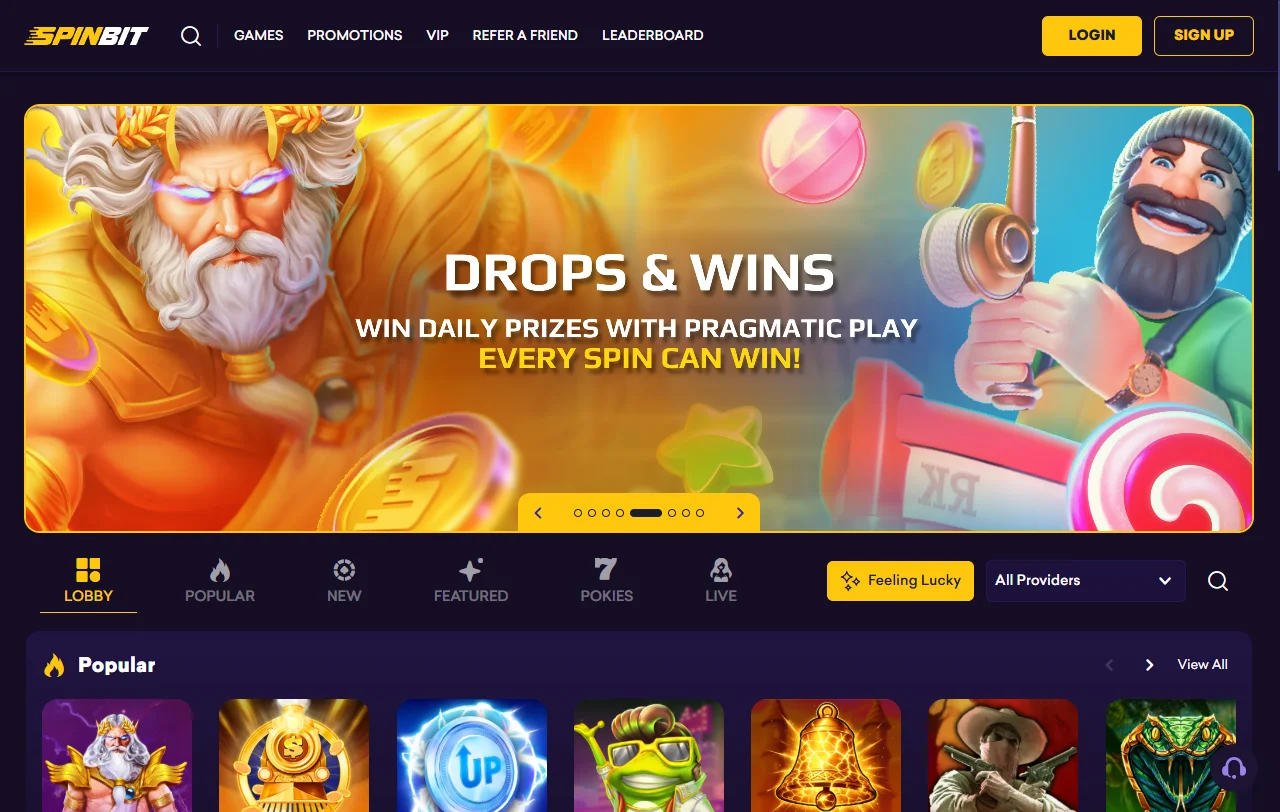 Spinbit Casino overview for India players and platform evaluation