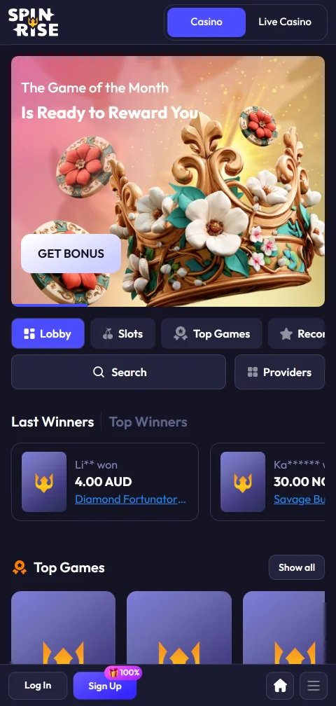 Spinrise Casino mobile access for smartphone play and usability