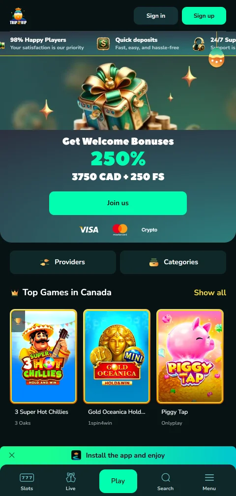 Trip2Vip Casino mobile access and smartphone compatibility for play