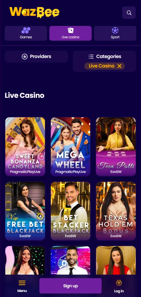 Wazbee Casino security, licensing, and player protection assessment summary