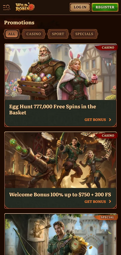 Wild Robin Casino security licensing and player protection summary