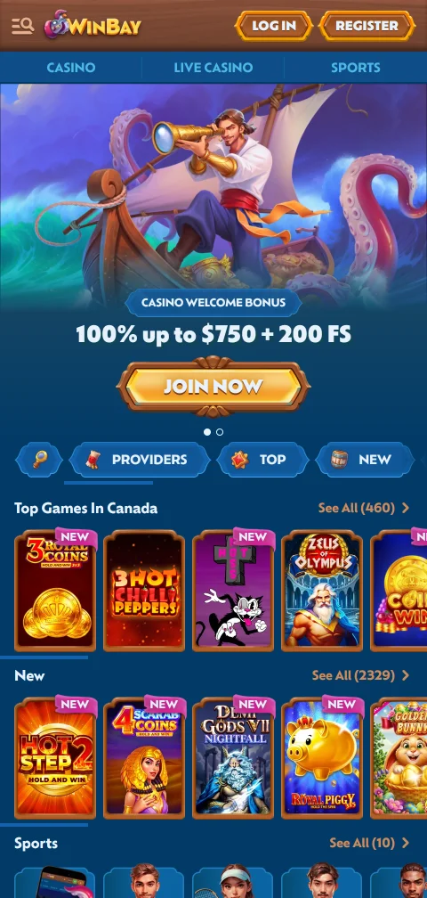 WinBay Casino mobile access and browser compatibility for players