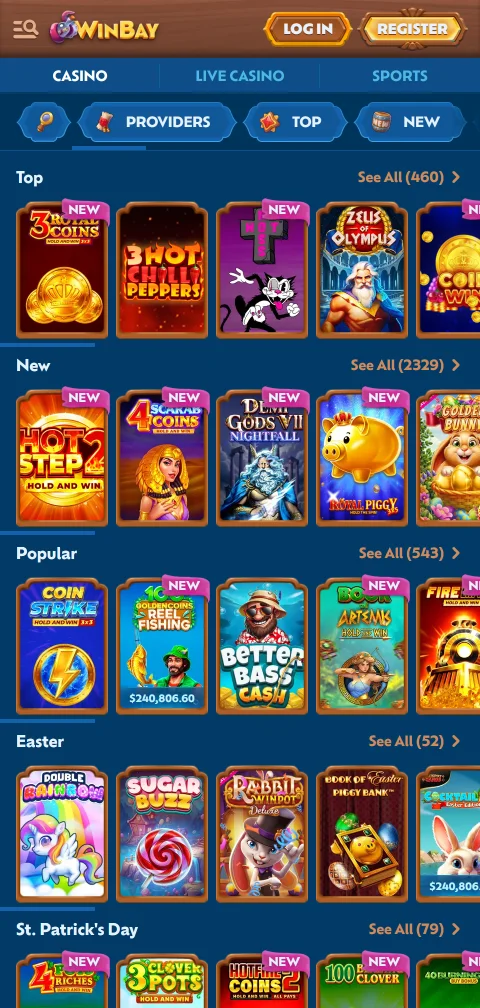WinBay Casino security licence and player protection assessment