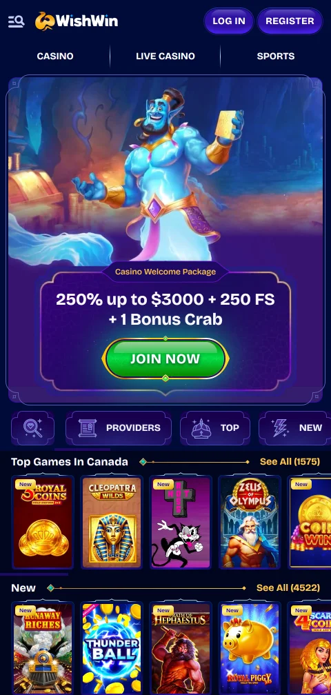 Wishwin Casino mobile access and smartphone compatibility summary